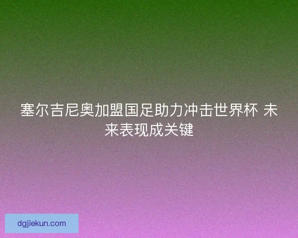 塞尔吉尼奥加盟国足助力冲击世界杯 未来表现成关键